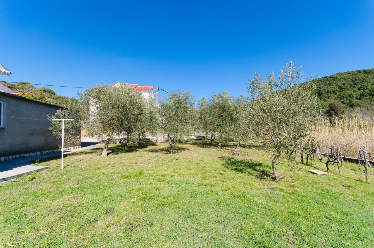 Apartments Vesna Kampor Exterior photo